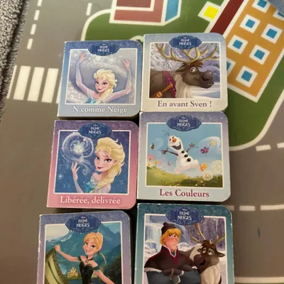 Livre reine des neige 